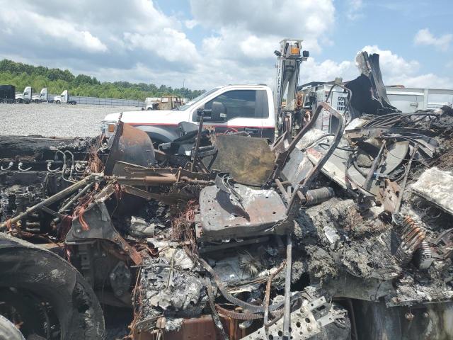 1FUJGLDR5DLBE8439 - 2013 FREIGHTLINER CASCADIA 1 栗色 照片 5