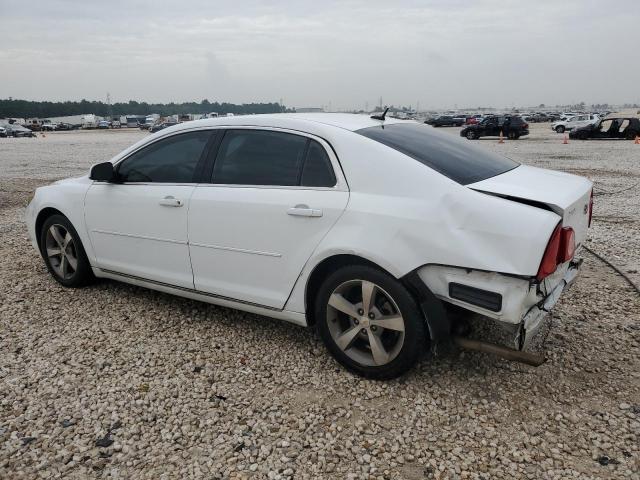 1G1ZC5E13BF199129 - 2011 CHEVROLET MALIBU 1LT 白色 照片 2