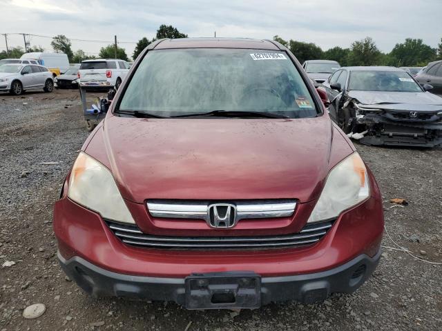 JHLRE48727C056924 - 2007 HONDA CR-V EXL RED photo 5