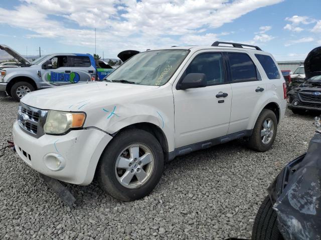 2009 FORD ESCAPE XLT, 