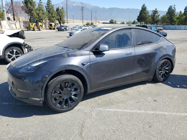 2024 TESLA MODEL Y, 