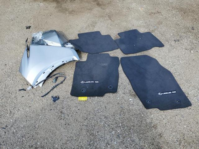 JTJDARDZ6M2259224 - 2021 LEXUS NX 300 BASE Boz foto 13