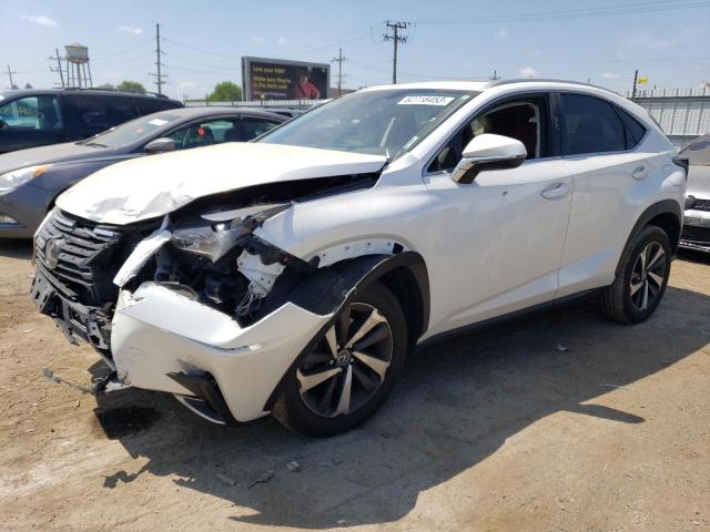 JTJGARDZ2M5025898 - 2021 LEXUS NX 300 BASE Ağ foto 1