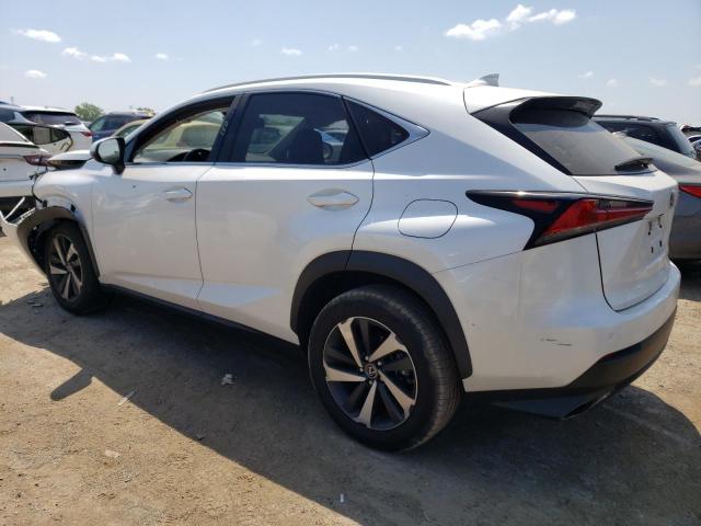JTJGARDZ2M5025898 - 2021 LEXUS NX 300 BASE Ağ foto 2