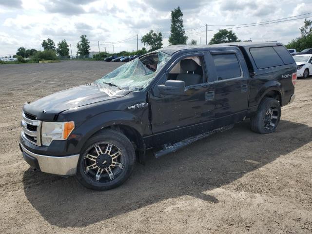 2013 FORD F150 SUPERCREW, 