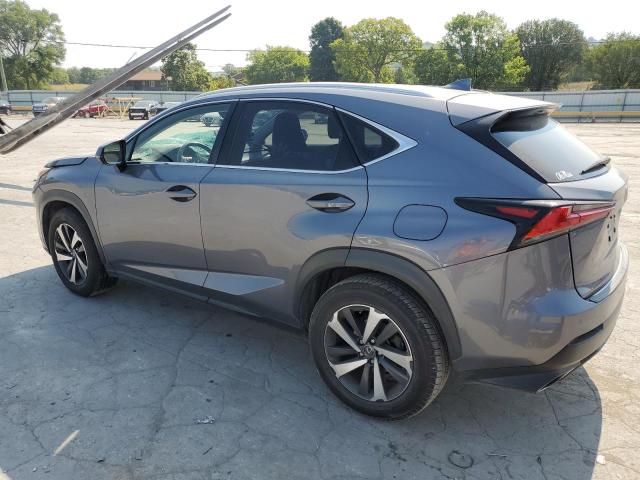 JTJYARBZ9J2095922 - 2018 LEXUS NX 300 BASE Boz foto 2