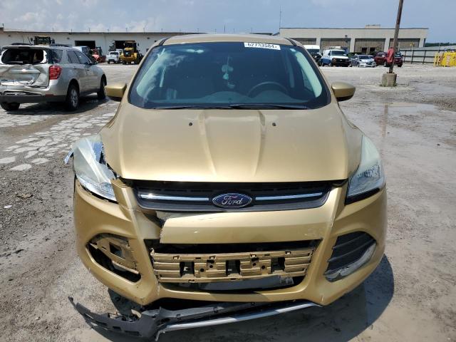 1FMCU0G96FUA10650 - 2015 FORD ESCAPE SE GOLD photo 5