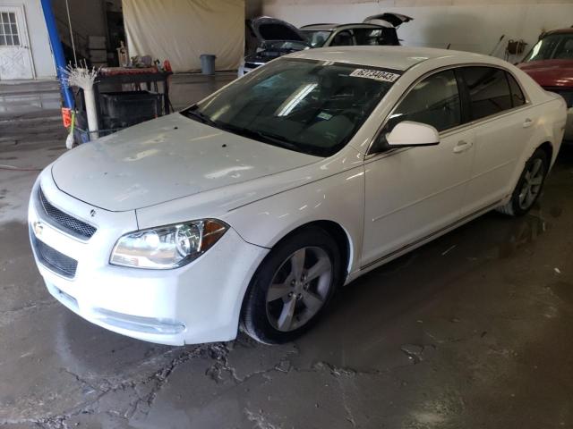 1G1ZC5E1XBF111239 - 2011 CHEVROLET MALIBU 1LT 白色 照片 1