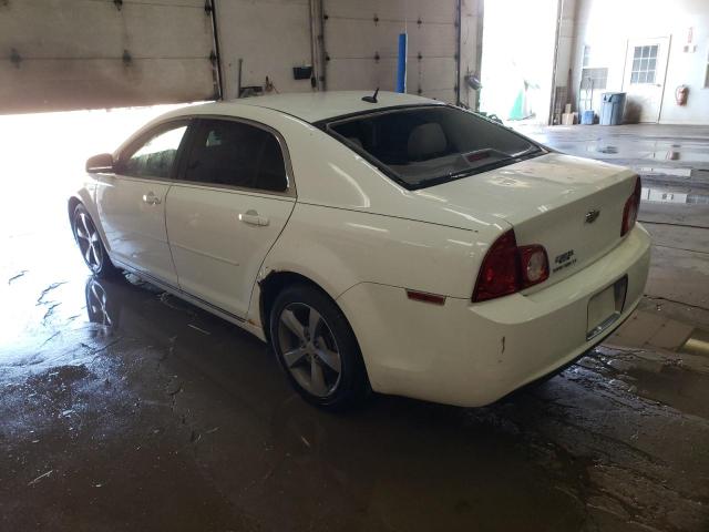 1G1ZC5E1XBF111239 - 2011 CHEVROLET MALIBU 1LT 白色 照片 2