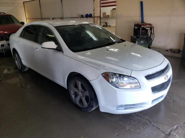 1G1ZC5E1XBF111239 - 2011 CHEVROLET MALIBU 1LT 白色 照片 4