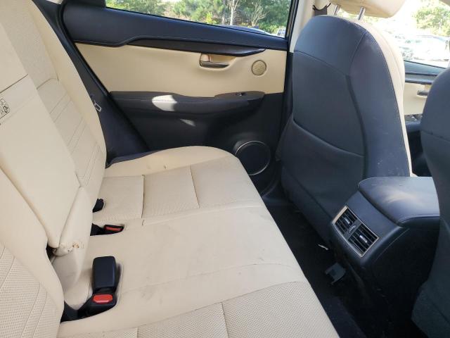 JTJDARBZXM2198236 - 2021 LEXUS NX 300 BASE Yaşıl foto 10