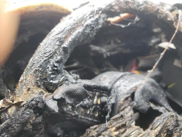 ZASPAKBN0M7D14767 - 2021 ALFA ROMEO STELVIO TI SILVER photo 9