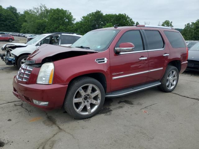 2010 CADILLAC ESCALADE LUXURY, null