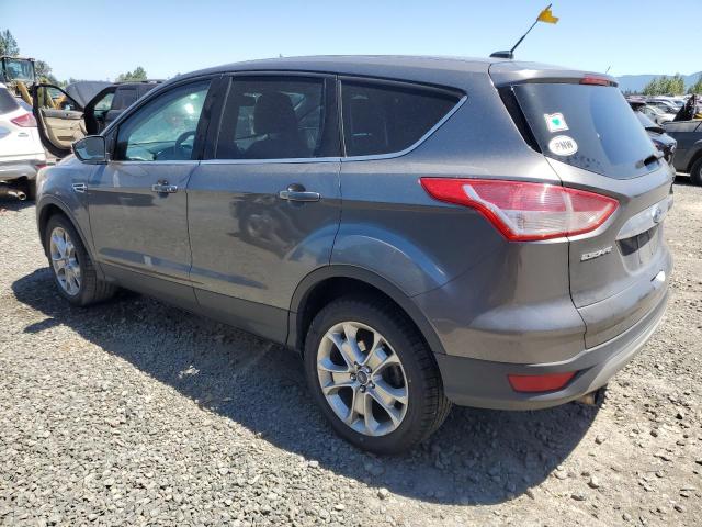 1FMCU9HX5DUB47674 - 2013 FORD ESCAPE SEL GRAY photo 2
