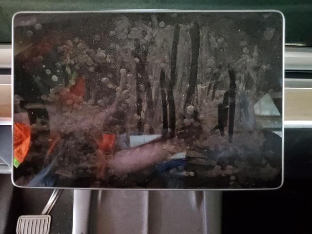 7SAYGAEE2PF582870 - 2023 TESLA MODEL Y Bleu photo 9