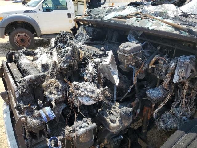 3ALACWD34MDMZ5498 - 2021 FREIGHTLINER M2 106 MEDIUM DUTY BURN photo 12