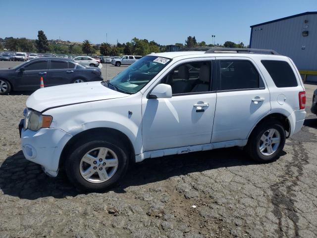 2010 FORD ESCAPE HYBRID, null