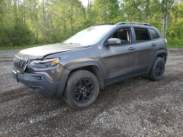 1C4PJMBN0KD330308 - 2019 JEEP CHEROKEE TRAILHAWK GRAY photo 1