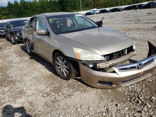 1HGCM66517A052315 - 2007 HONDA ACCORD EX GOLD photo 4