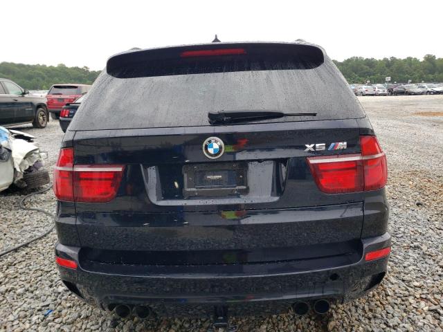 5YMGY0C59D0C11597 - 2013 BMW X5 M BLACK photo 6