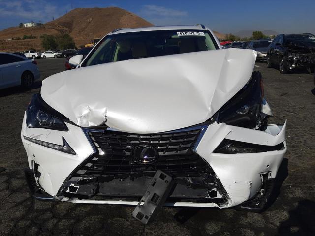 JTJYARBZ3K2145229 - 2019 LEXUS NX 300 BASE Ağ foto 5