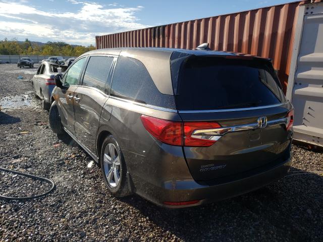 5FNRL6H76KB119307 - 2019 HONDA ODYSSEY EXL BROWN photo 3