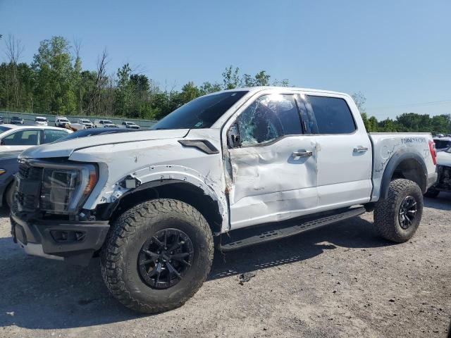 2023 FORD F150 RAPTOR, null