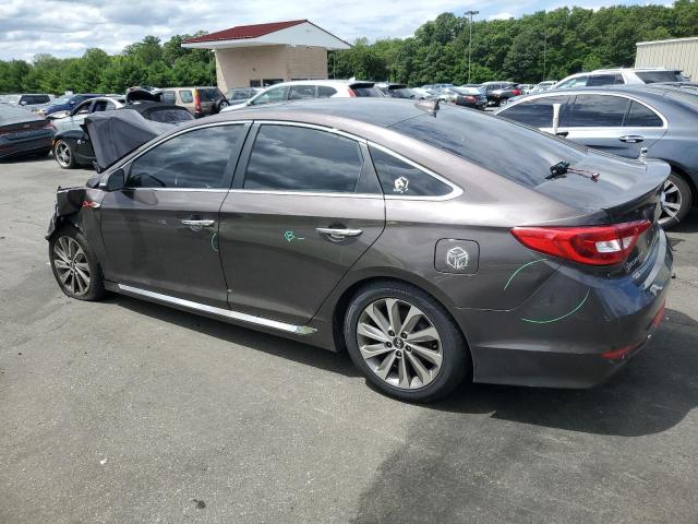 5NPE34AF4GH431610 - 2016 HYUNDAI SONATA SPORT BROWN photo 2