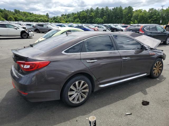 5NPE34AF4GH431610 - 2016 HYUNDAI SONATA SPORT BROWN photo 3