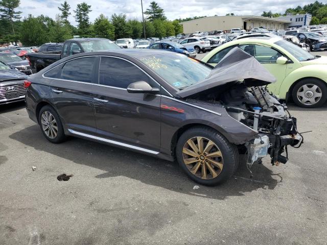 5NPE34AF4GH431610 - 2016 HYUNDAI SONATA SPORT BROWN photo 4
