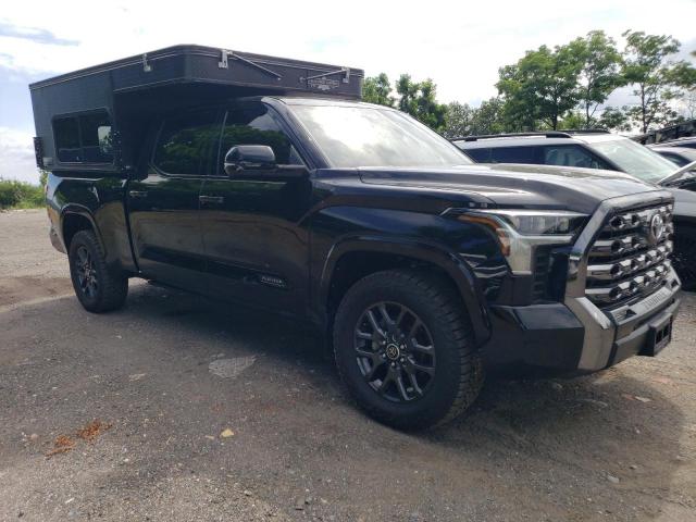 5TFNA5EC3PX017198 - 2023 TOYOTA TUNDRA CREWMAX PLATINUM BLACK photo 4