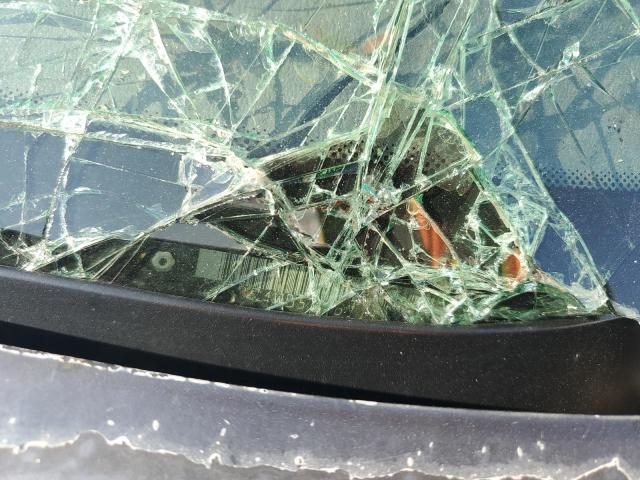 2G4WB55K611138381 - 2001 BUICK REGAL LS 黑色 照片 13