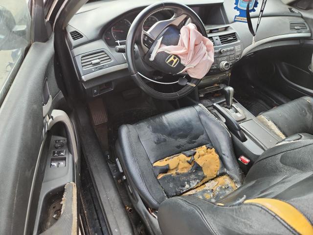 1HGCS12879A001610 - 2009 HONDA ACCORD EXL 黑色 照片 8