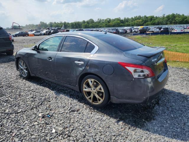 1N4AA5AP5BC844603 - 2011 NISSAN MAXIMA S Boz foto 2
