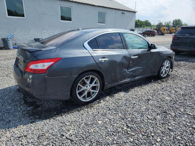 1N4AA5AP5BC844603 - 2011 NISSAN MAXIMA S Boz foto 3