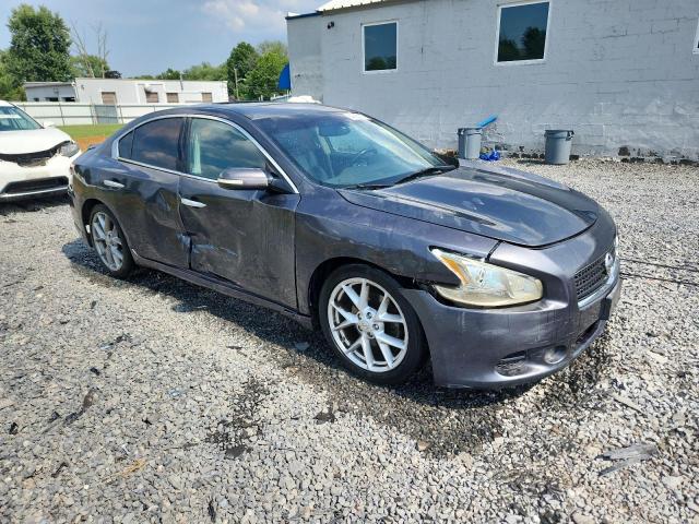 1N4AA5AP5BC844603 - 2011 NISSAN MAXIMA S Boz foto 4