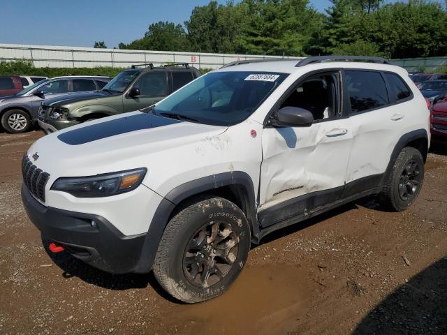 1C4PJMBX5LD579142 - 2020 JEEP CHEROKEE TRAILHAWK WHITE photo 1