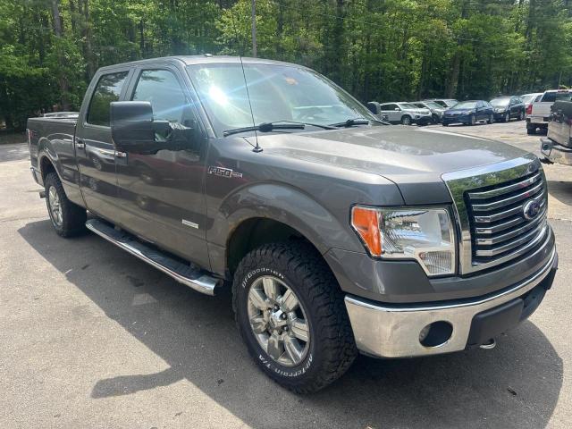 2012 FORD F150 SUPERCREW, null