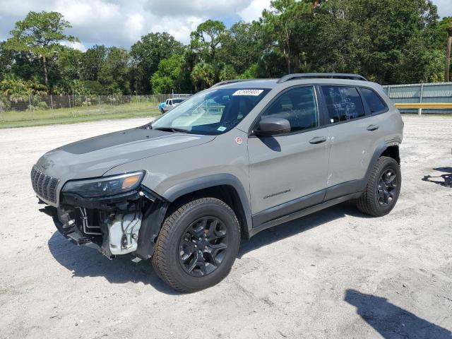 1C4PJMBX8KD425541 - 2019 JEEP CHEROKEE TRAILHAWK GRAY photo 1