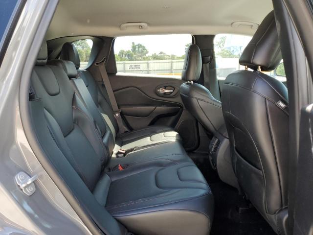 1C4PJMBX8KD425541 - 2019 JEEP CHEROKEE TRAILHAWK GRAY photo 10