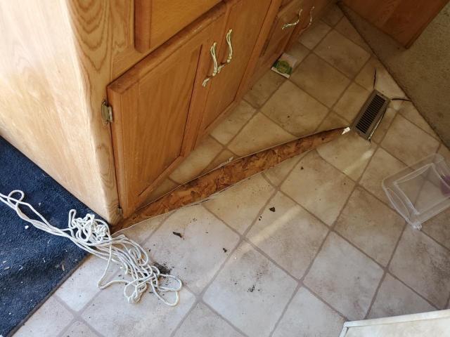 4YDF2152537306429 - 2003 KEYSTONE HORNET WHITE photo 9