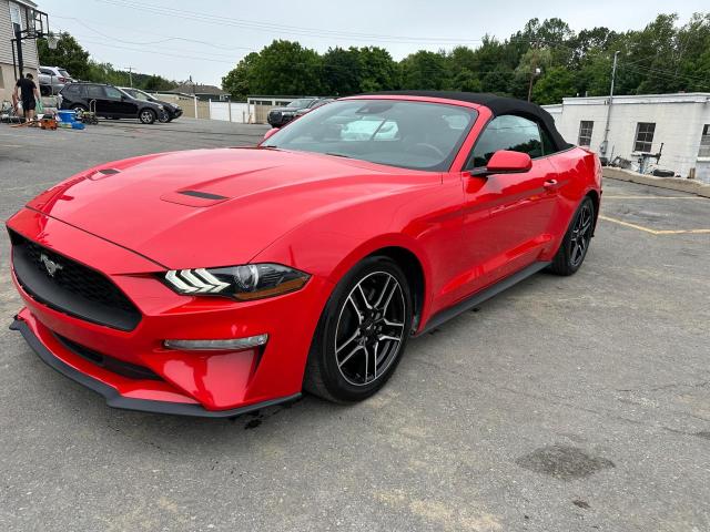 2023 FORD MUSTANG, null