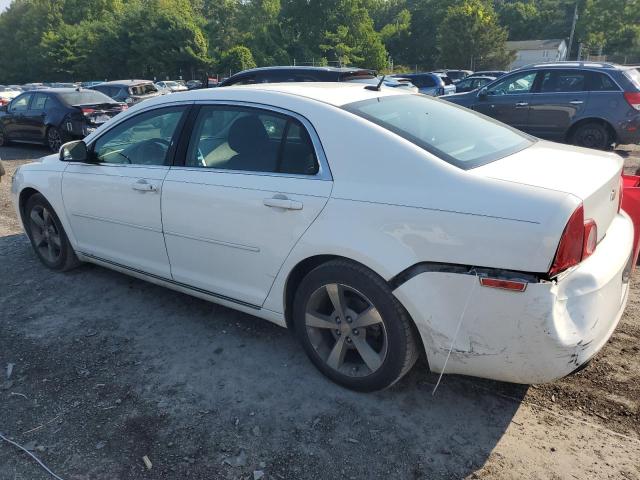 1G1ZC5E15BF306391 - 2011 CHEVROLET MALIBU 1LT 白色 照片 2