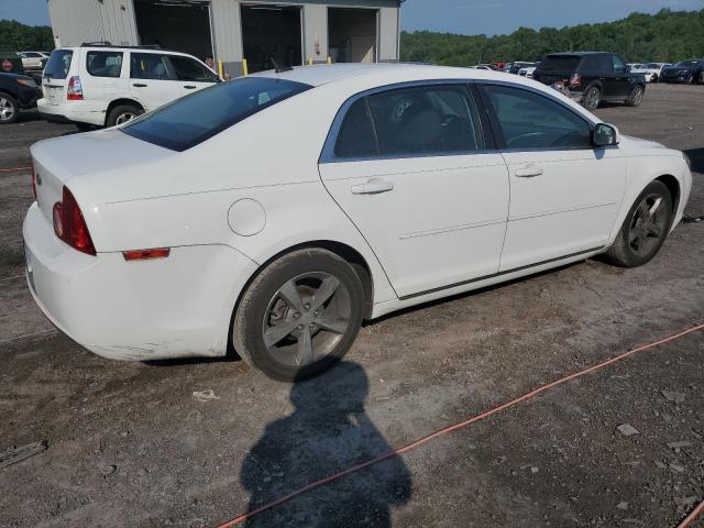 1G1ZC5E15BF306391 - 2011 CHEVROLET MALIBU 1LT 白色 照片 3