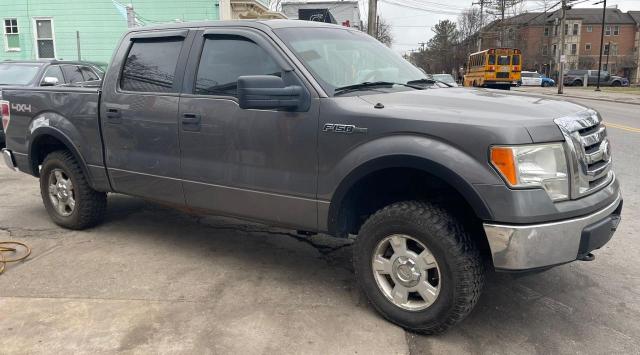 2010 FORD F150 SUPERCREW, null