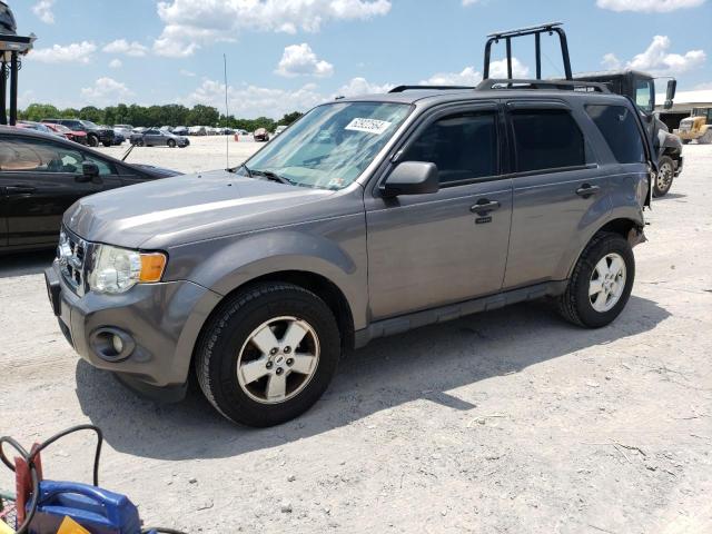 2012 FORD ESCAPE XLT, 