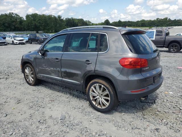 WVGAV3AX8EW542420 - 2014 VOLKSWAGEN TIGUAN S GRAY photo 2