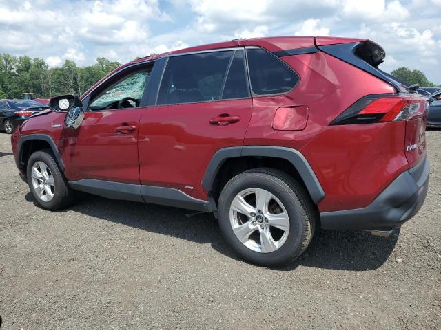 2T3RWRFV4KW006394 - 2019 TOYOTA RAV4 XLE RED photo 2