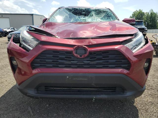2T3RWRFV4KW006394 - 2019 TOYOTA RAV4 XLE RED photo 5