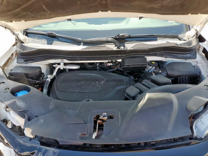 5FNYF8H55MB041554 - 2021 HONDA PASSPORT EXL WHITE photo 12